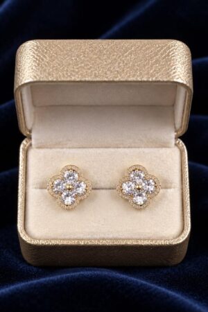 Zircons Studs